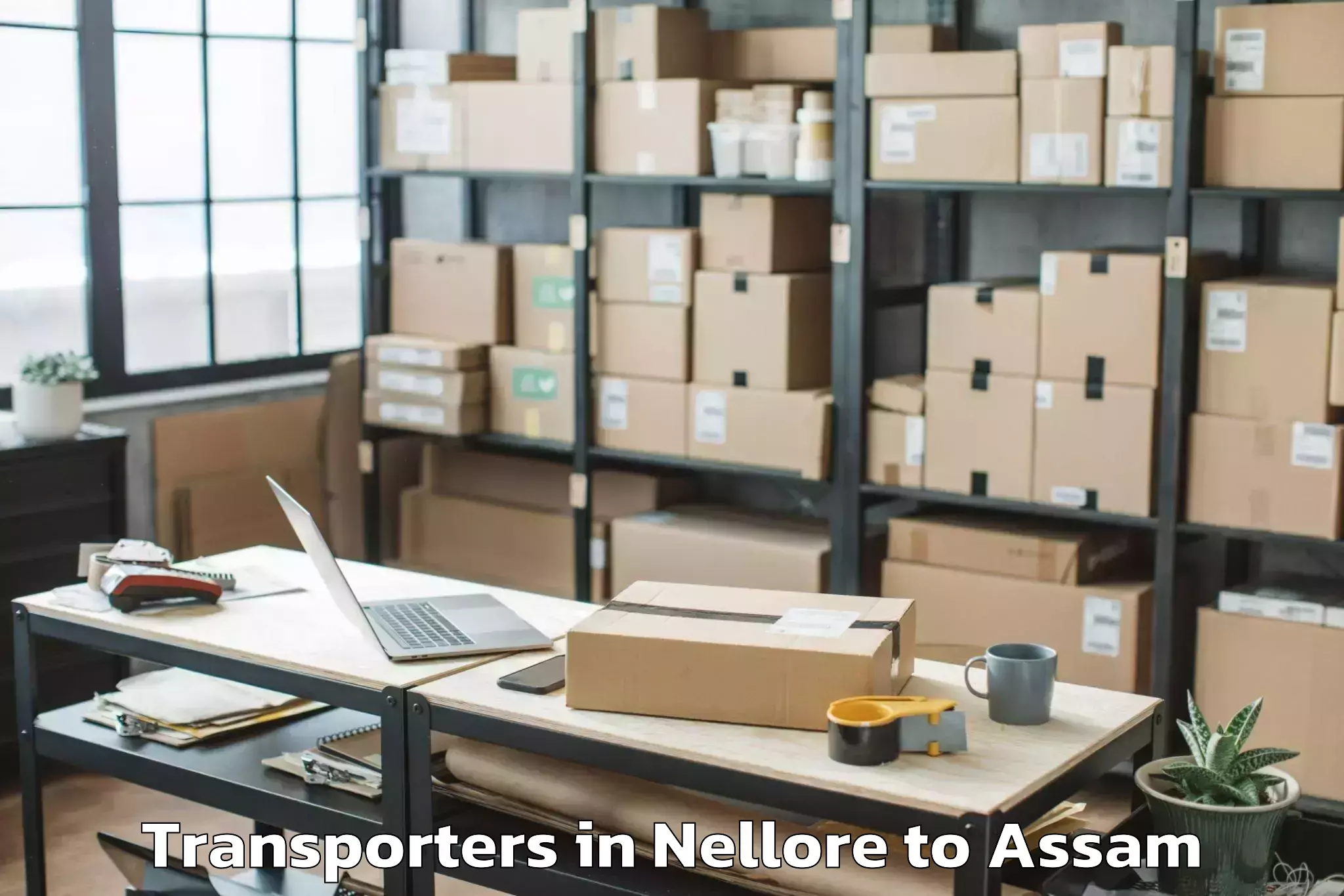 Book Nellore to Cotton University Guwahati Transporters Online